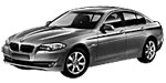 BMW F10 U013U Fault Code